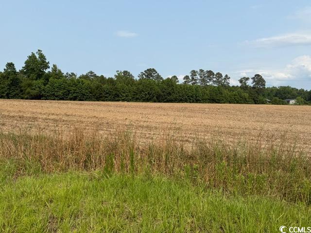 Lot 8 Mack Road Conway, SC 29526 - Photo 8 of 8 Gallery Image 8