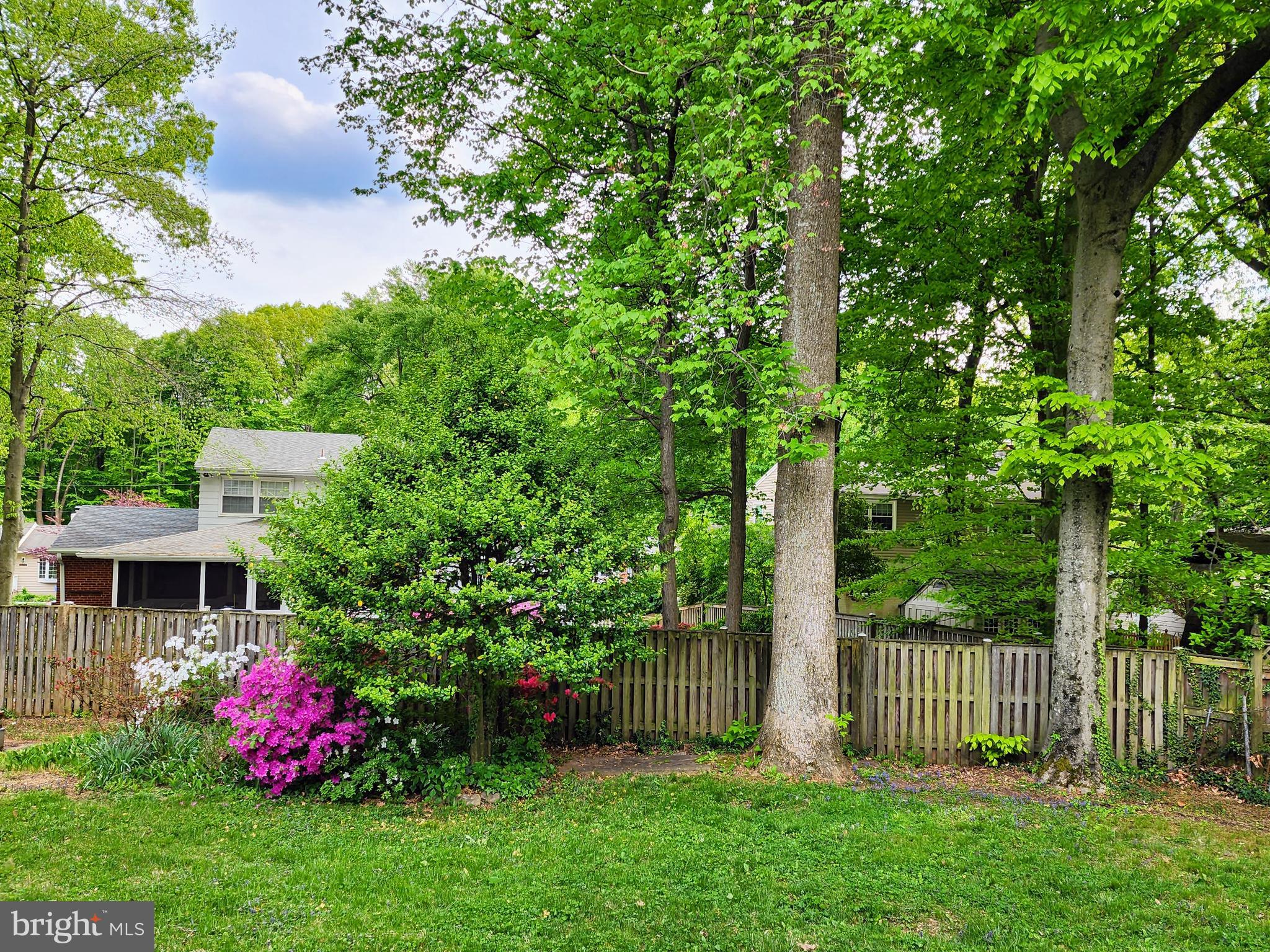 10205 Cardinal Road Fairfax, VA 22030 - Photo 27 of 35 Exterior Backyard View