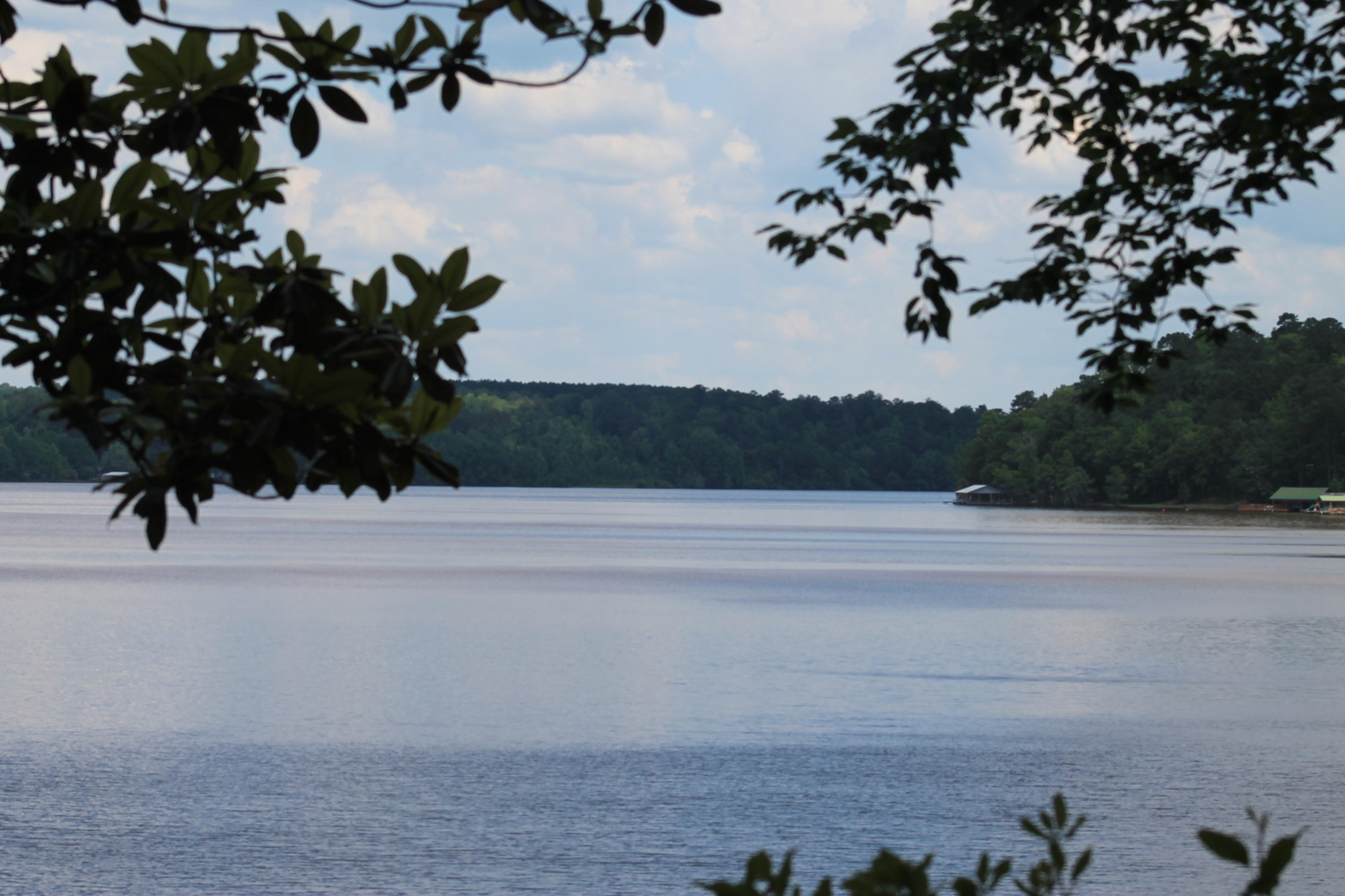 15383 Pier 7 Road Andalusia, AL 36421 - Photo 6 of 58 IMG_3482