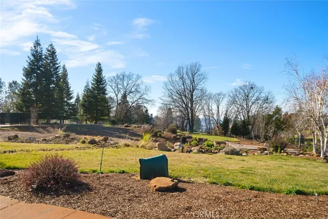 a view of a yard with a tree