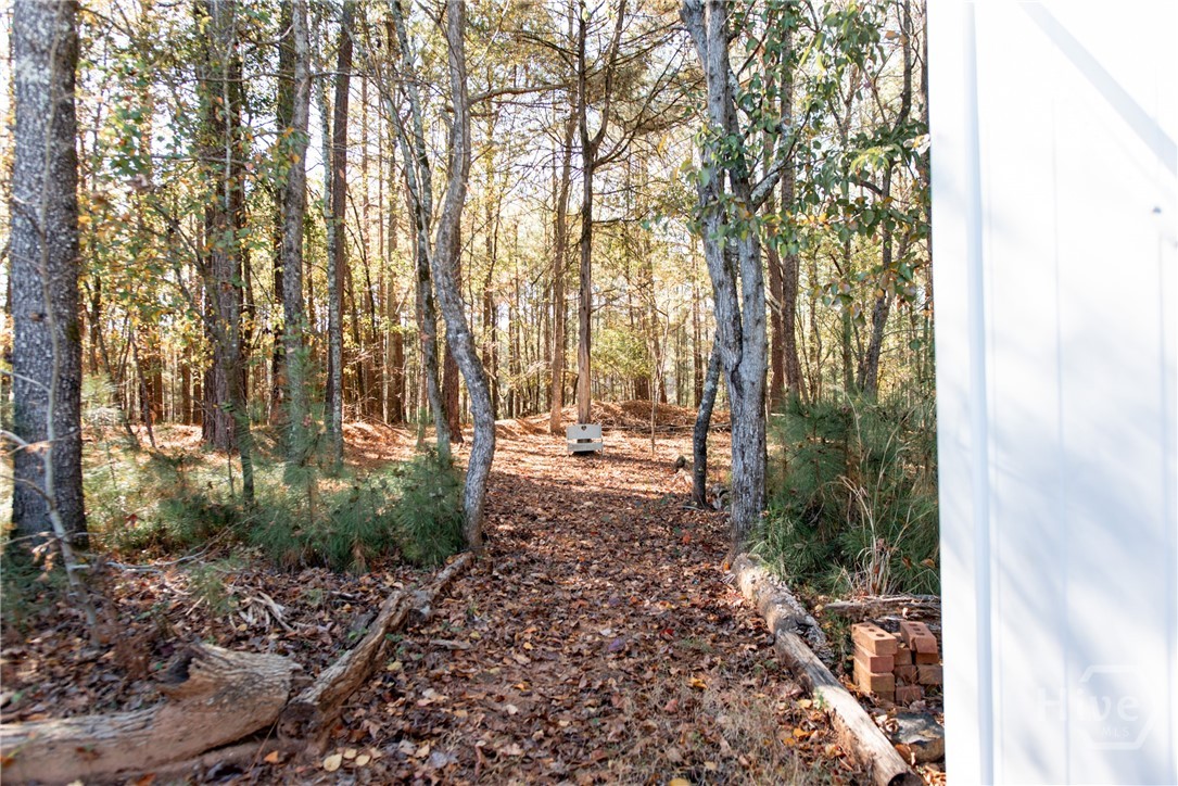 493 O'Conner Boulevard Athens, GA 30607 - Photo 31 of 34 Greenspace behind the property