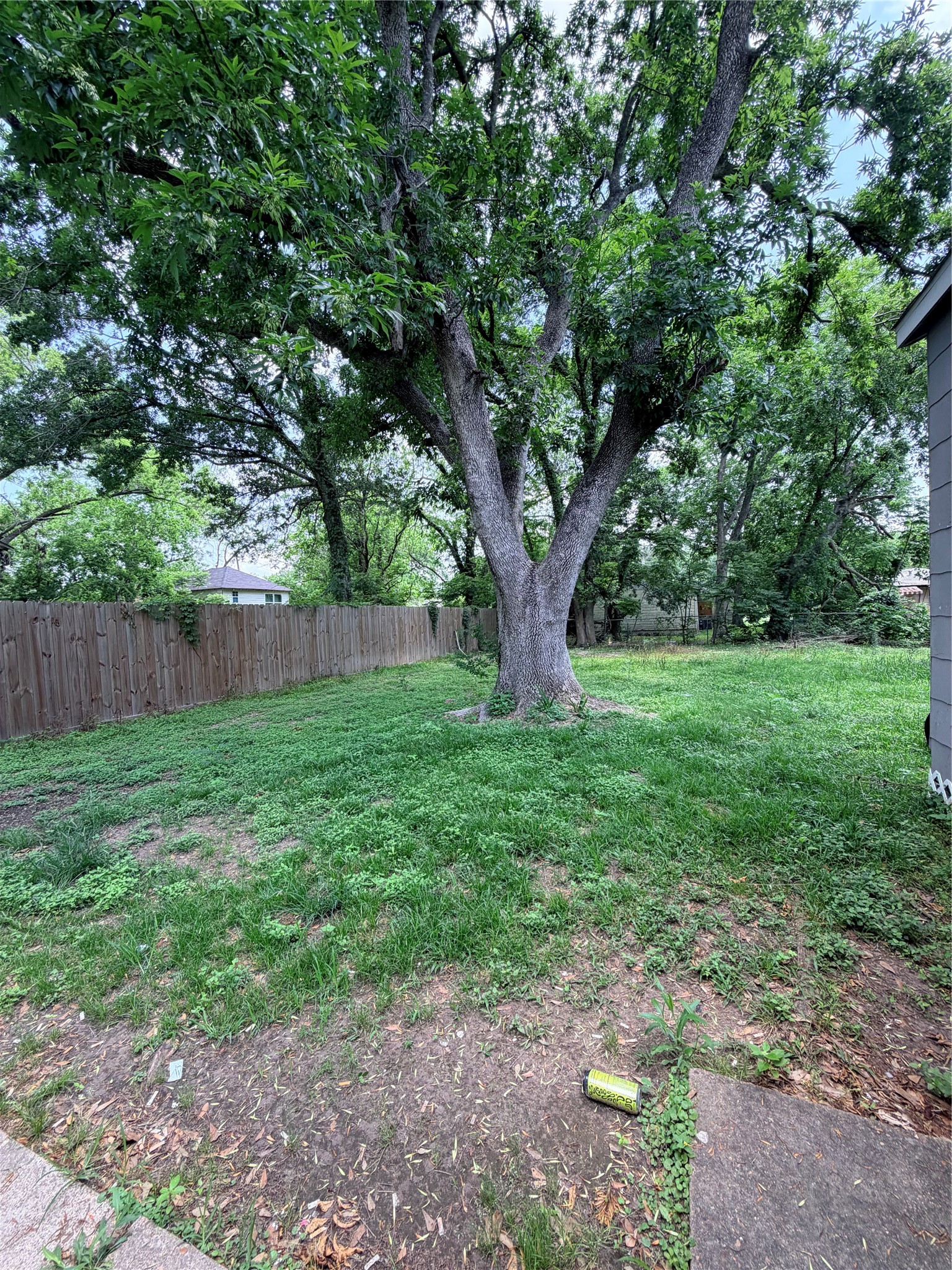 516 Hurst Place Angleton, TX 77515 - Photo 20 of 20