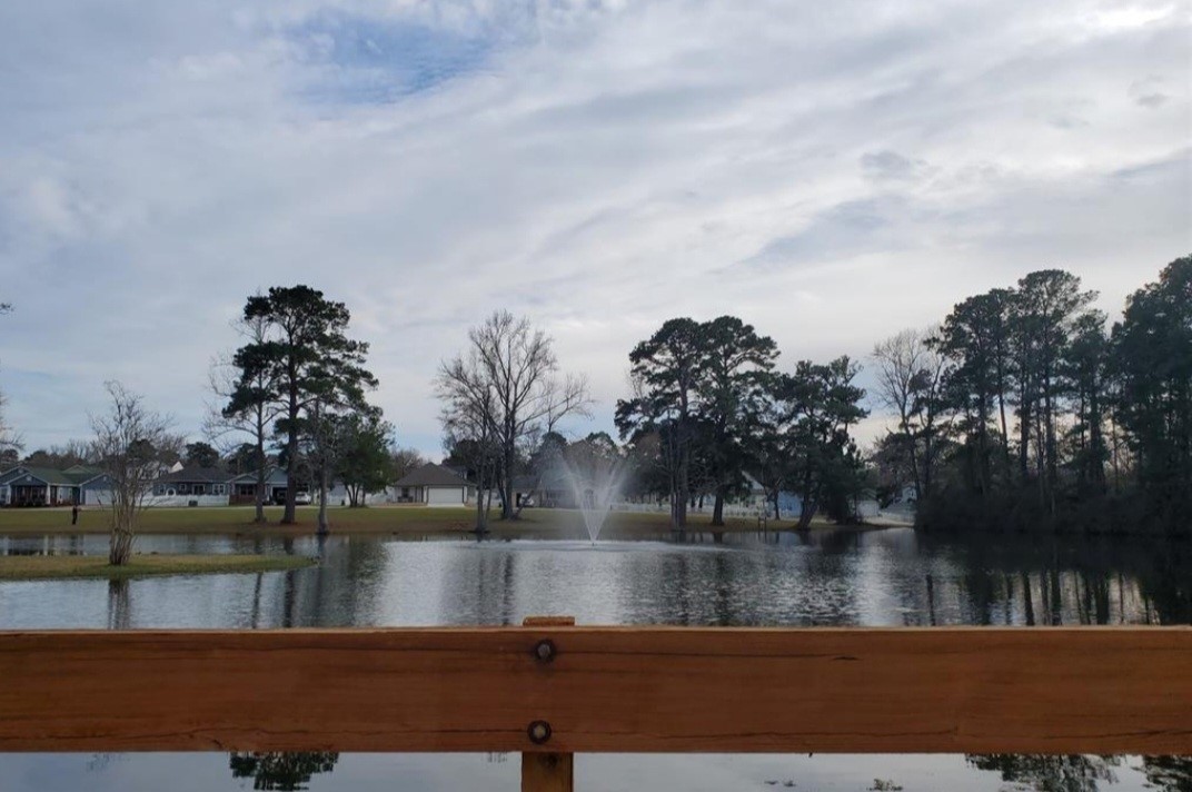 118 Noel Livingston, TX 77351 - Photo 13 of 13 a view of lake