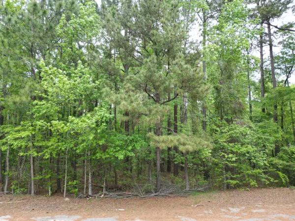 $35,000 | 231 Morningside Drive, St. Matthews, SC 29135