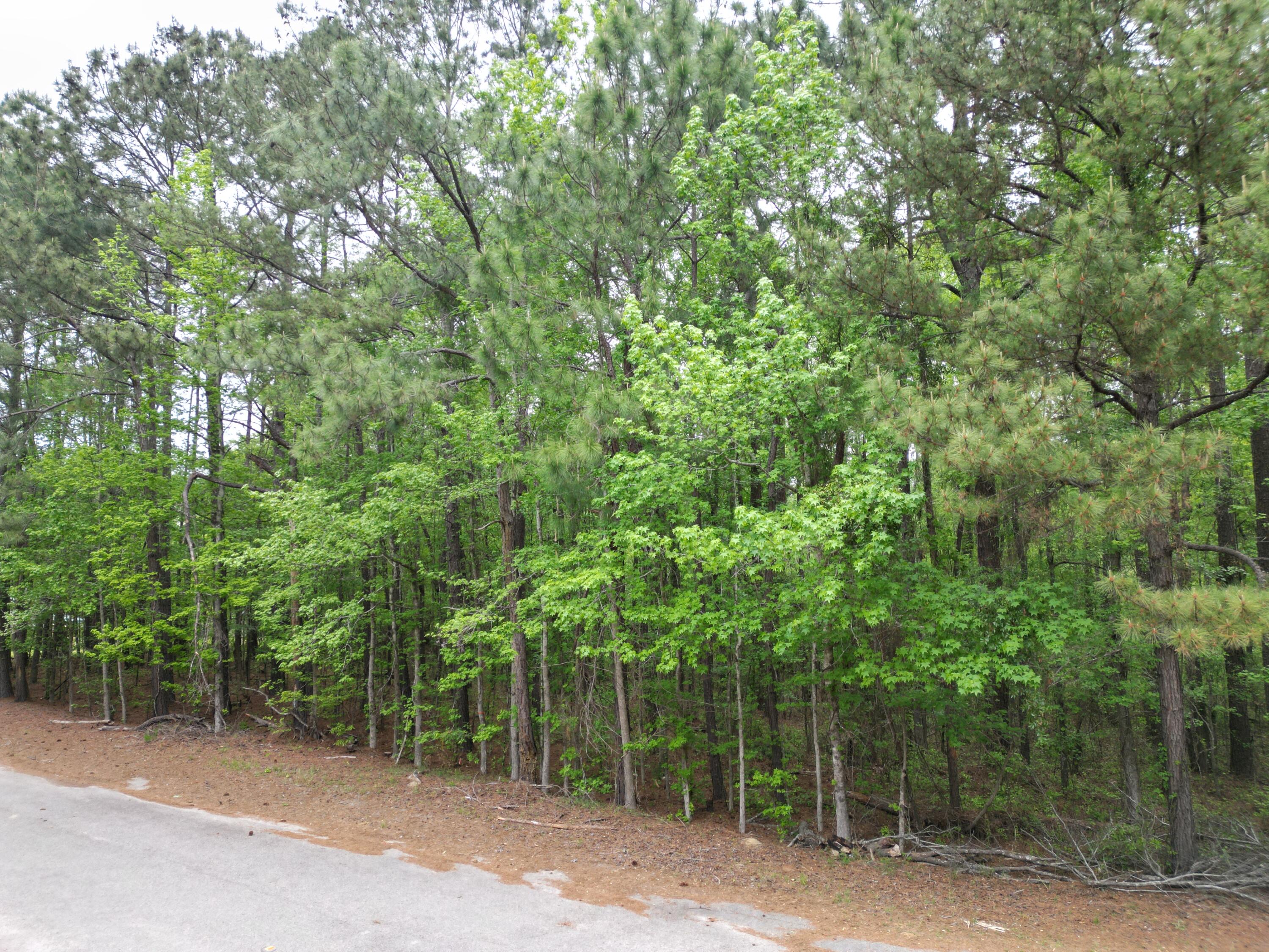 231 Morningside Drive St. Matthews, SC 29135 - Photo 2 of 7 dji_fly_20260319_090326_250_177551466128