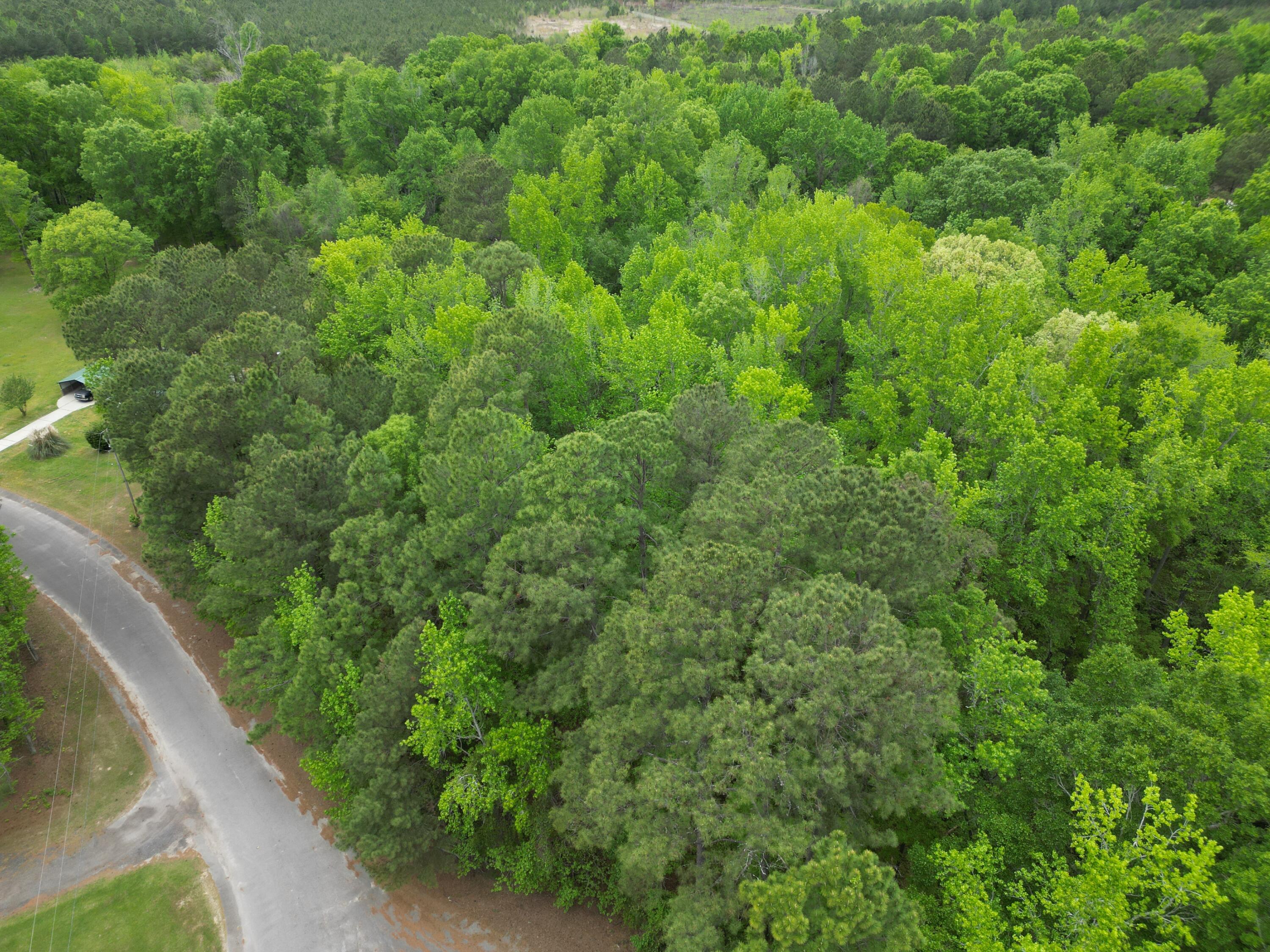 231 Morningside Drive St. Matthews, SC 29135 - Photo 4 of 7 dji_fly_20260319_090104_247_177551466281