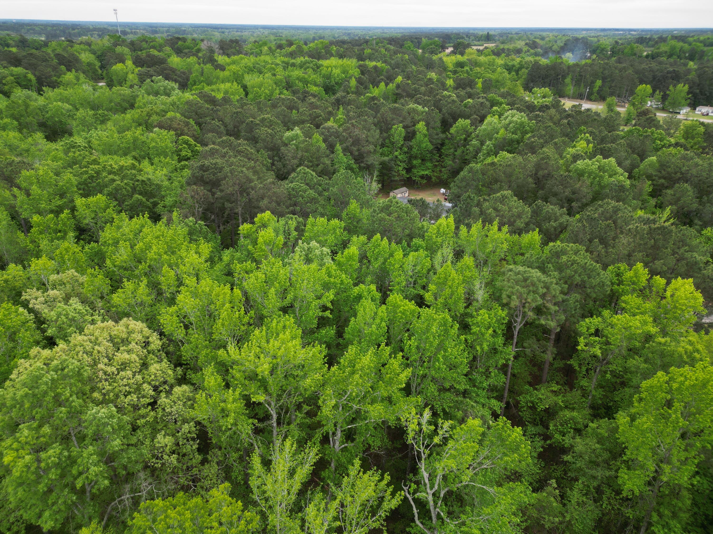 231 Morningside Drive St. Matthews, SC 29135 - Photo 5 of 7 dji_fly_20260319_085928_245_177551466374