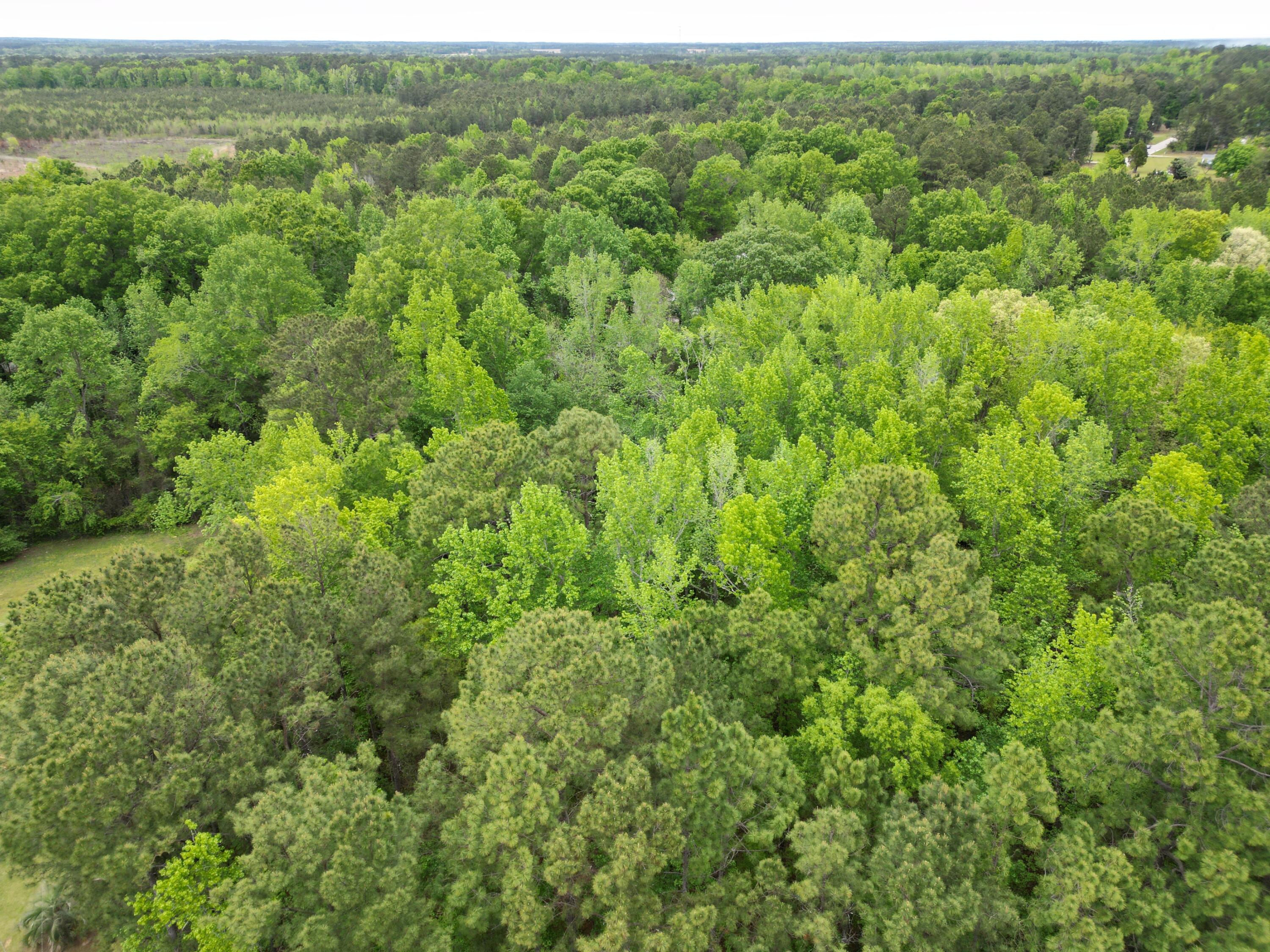 231 Morningside Drive St. Matthews, SC 29135 - Photo 6 of 7 dji_fly_20260319_085808_243_177551466412
