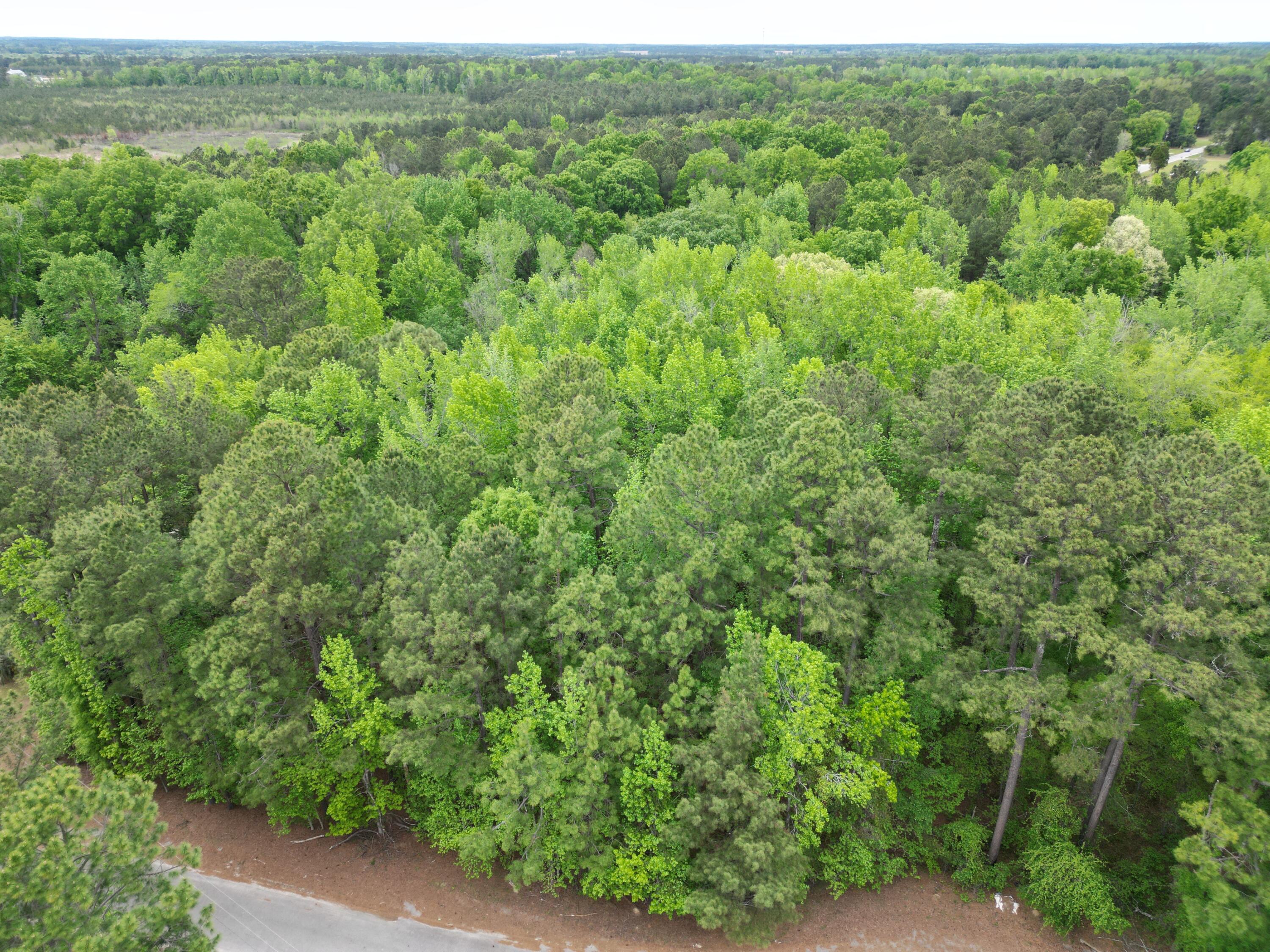 231 Morningside Drive St. Matthews, SC 29135 - Photo 7 of 7 dji_fly_20260319_085732_242_177551466445