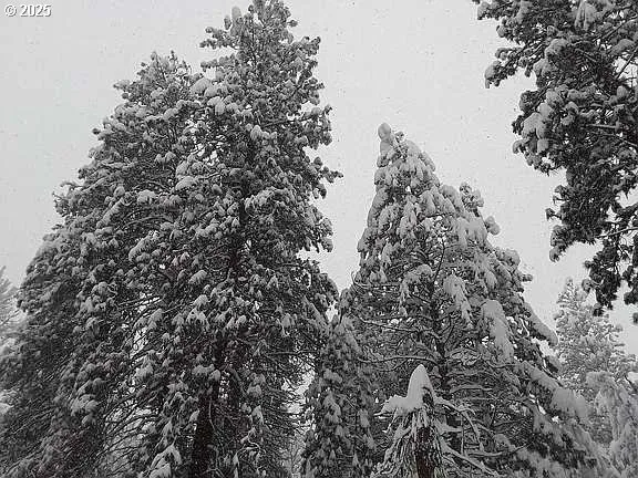 $640,000 | 133 East Black Crater Avenue, Sisters, OR 97759