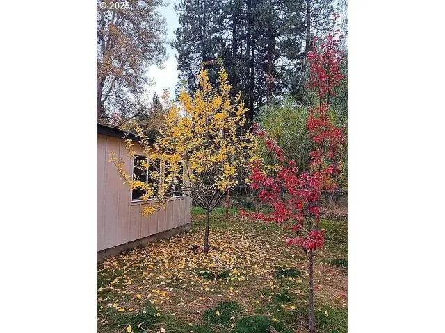 $640,000 | 133 East Black Crater Avenue, Sisters, OR 97759