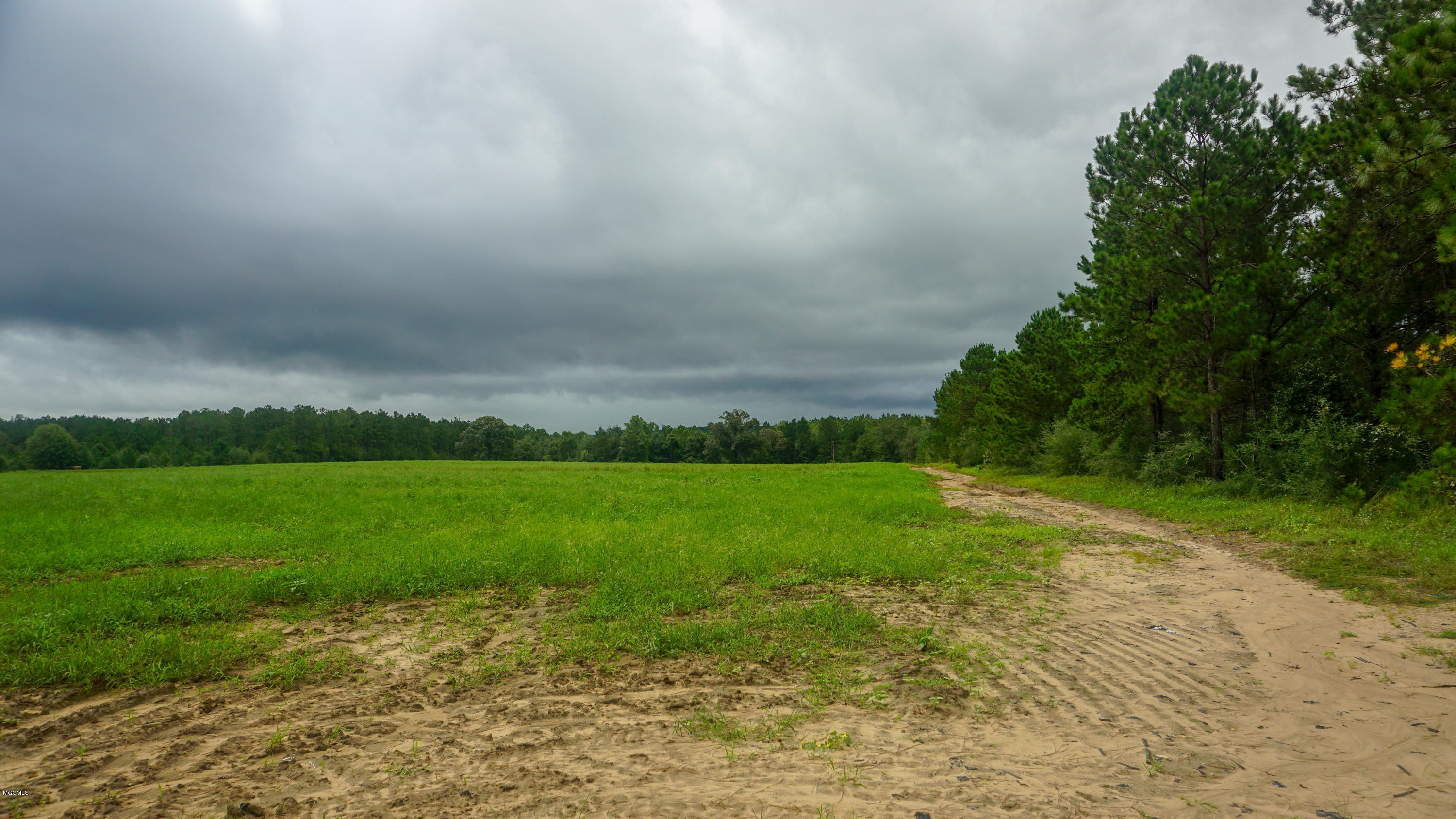 30 Thirteen Road Lucedale, MS 39452 - Photo 5 of 13 DSC06380
