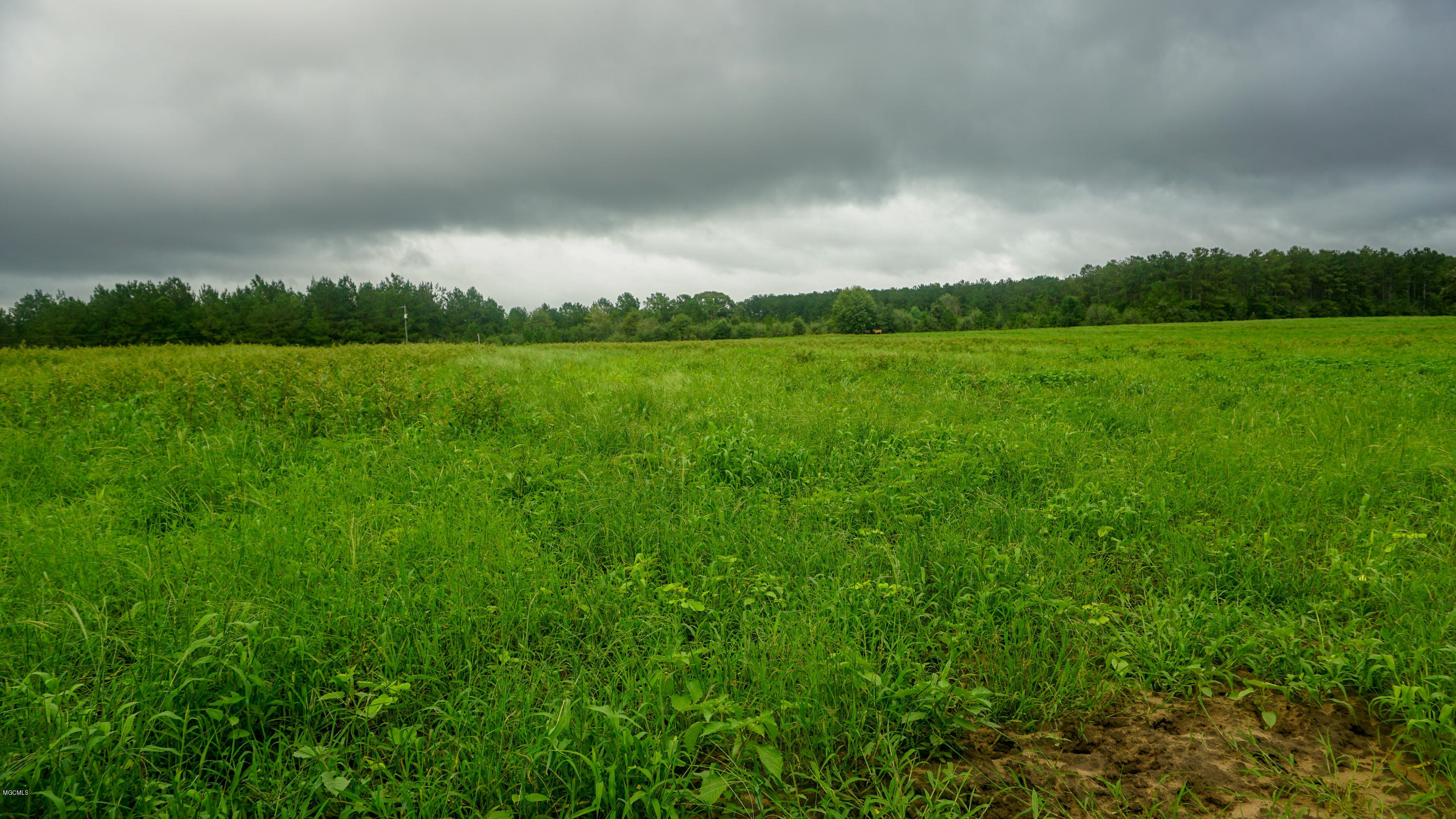 30 Thirteen Road Lucedale, MS 39452 - Photo 8 of 13 DSC06386