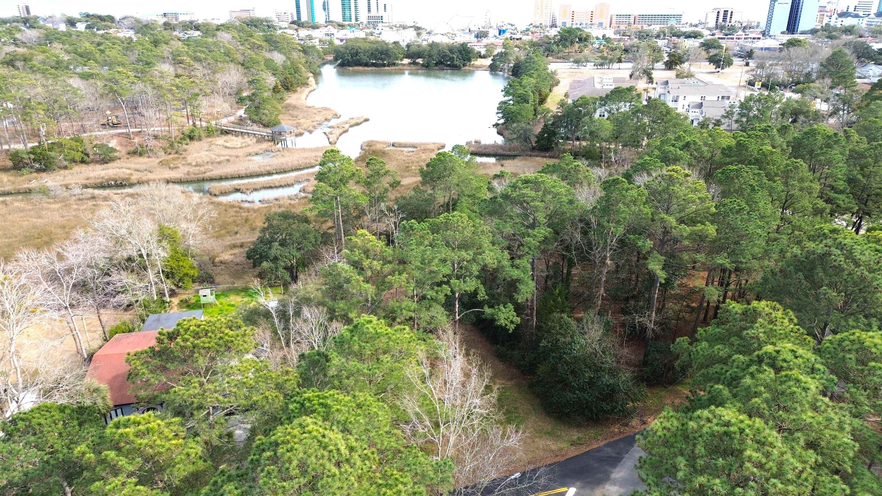 Tbd Charlotte Road Myrtle Beach, SC 29577 - Photo 3 of 7