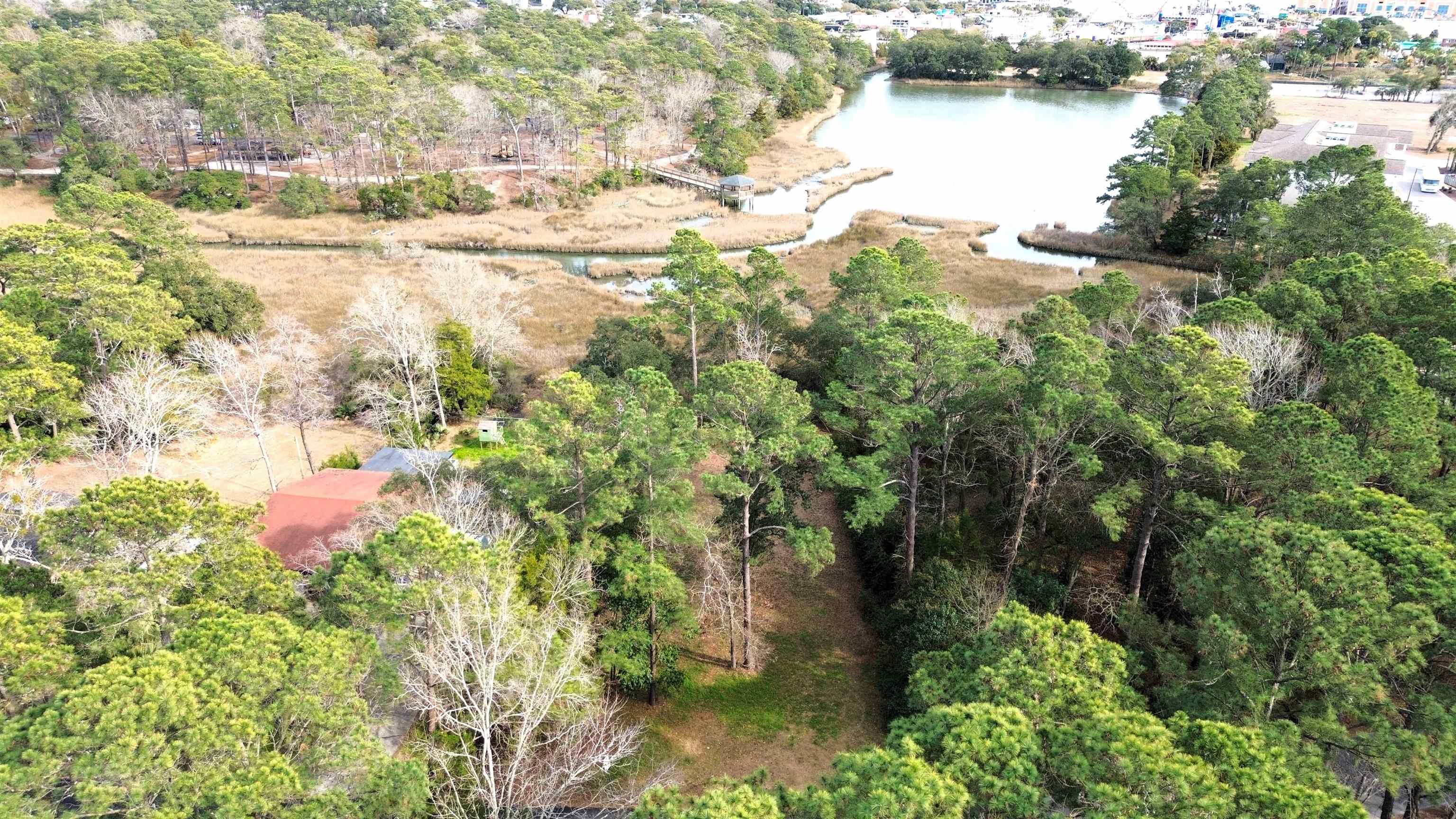 Tbd Charlotte Road Myrtle Beach, SC 29577 - Photo 5 of 7