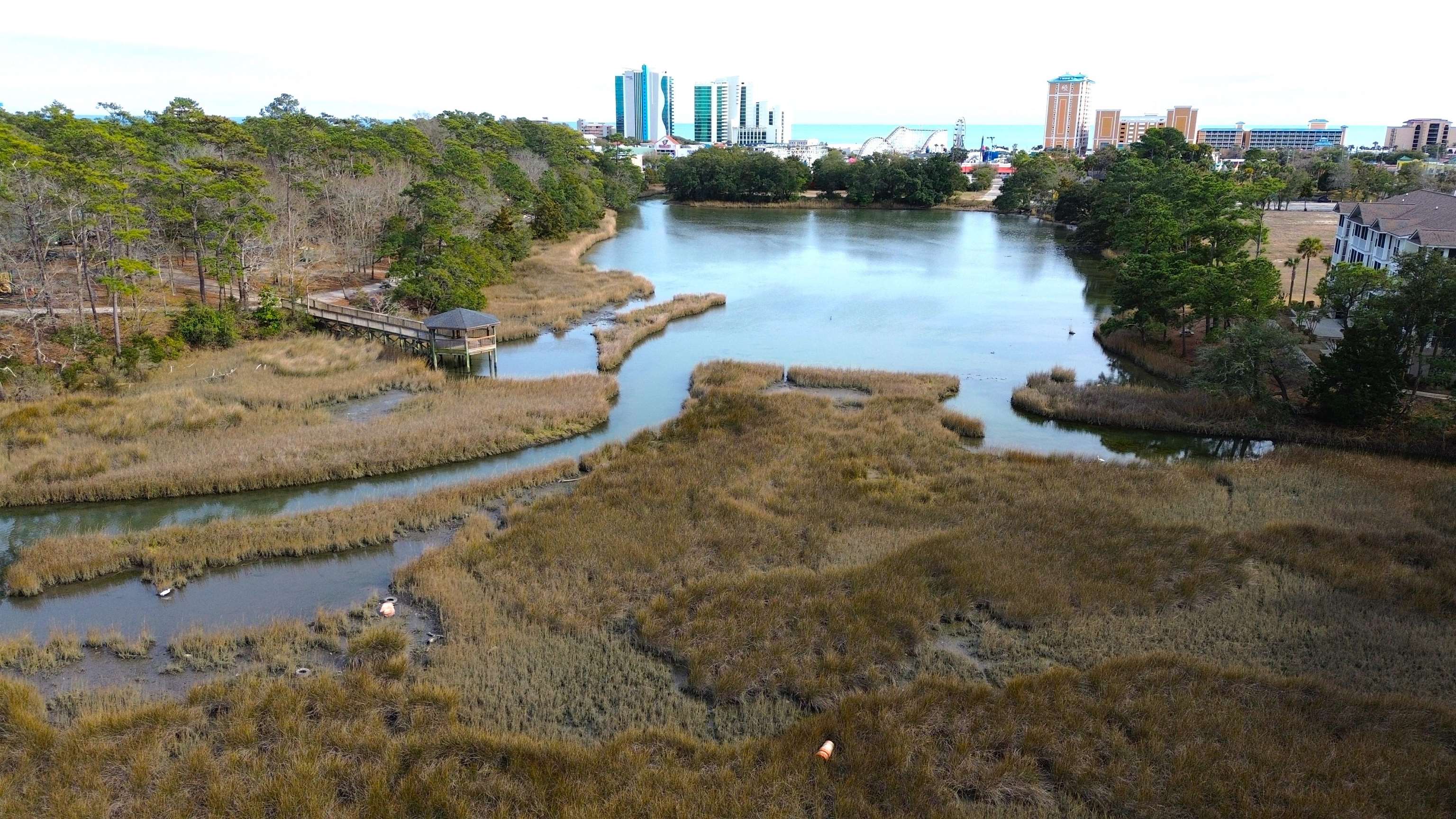 Tbd Charlotte Road Myrtle Beach, SC 29577 - Photo 7 of 7