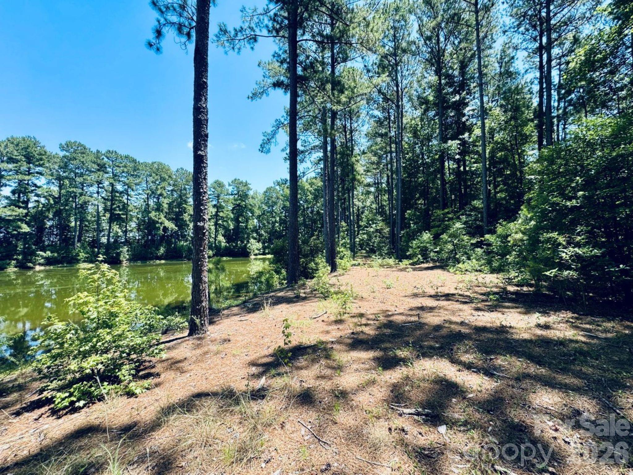 5326 Judson Road Clio, SC 29525 - Photo 21 of 29