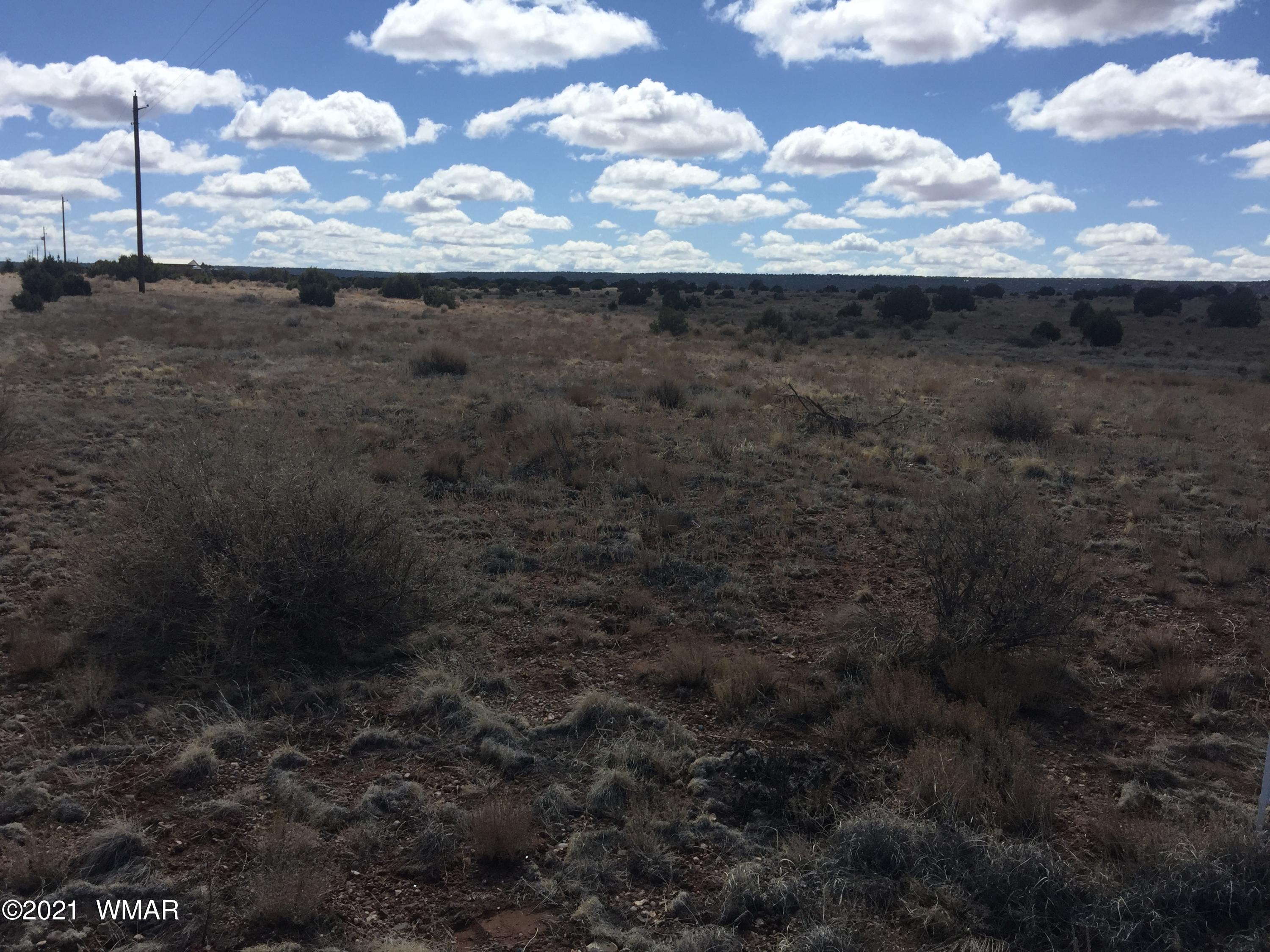 4543 Bunkhouse Road Snowflake, AZ 85937 - Photo 3 of 7 a view of a dry yard