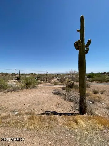 a view of a yard with ocean view