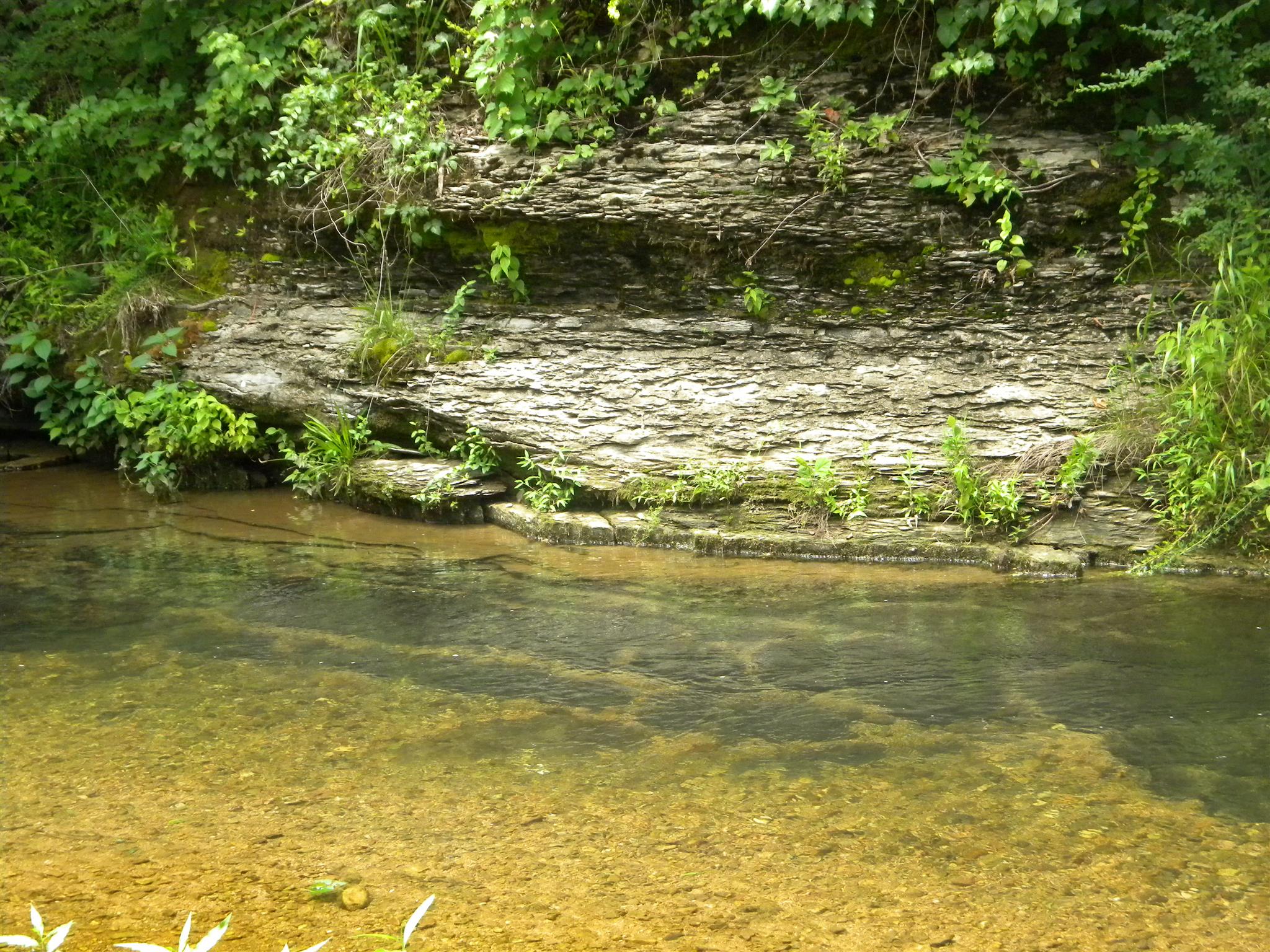 109 Scott Road Hohenwald, TN 38462 - Photo 26 of 30 Crystal Clear Water
