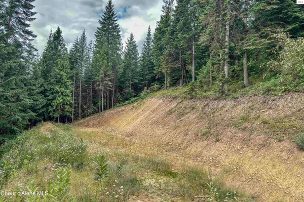$80,000 | Nna Nna Makridge Lane, Kingston, ID 83839