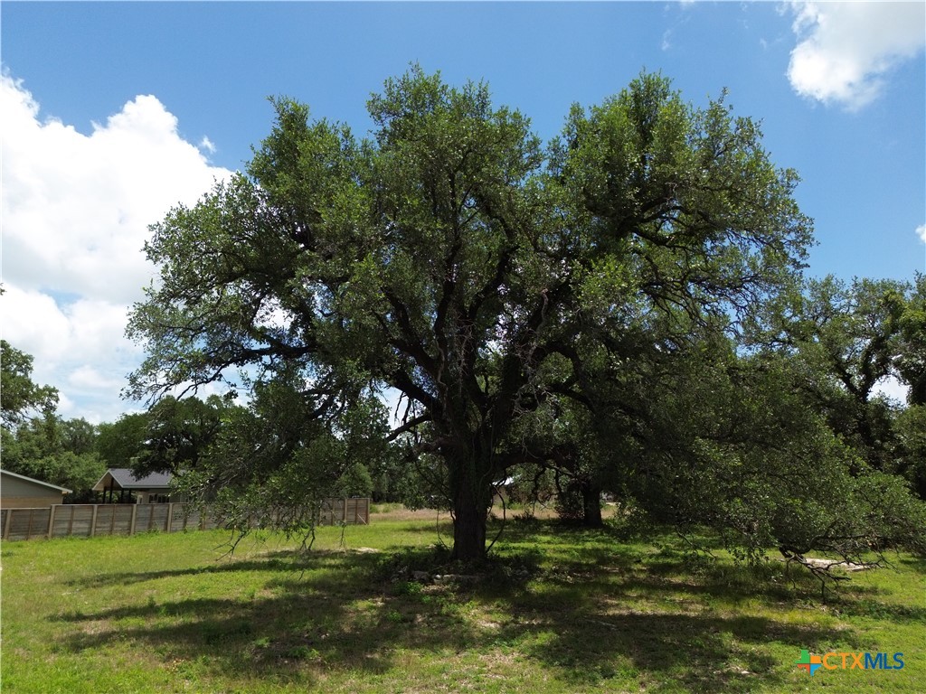 731 Santa Maria Road Salado, TX 76571 - Photo 9 of 15