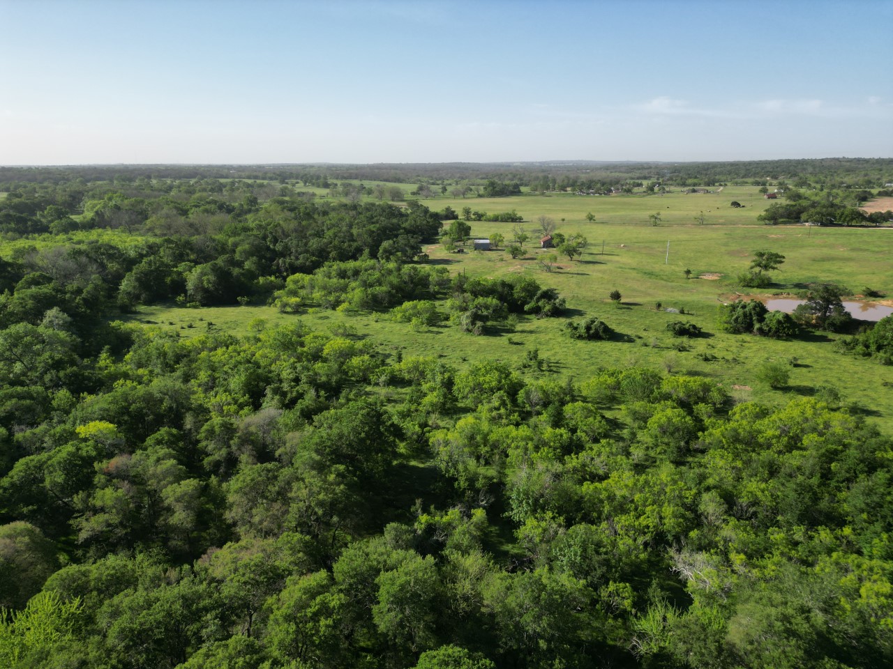 285 Watterson School Road Red Rock, TX 78662 - Photo 4 of 8 Creek bottom