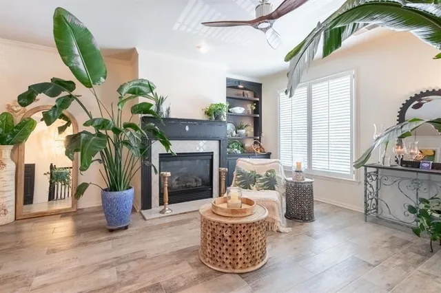 a living room with furniture and a potted plant