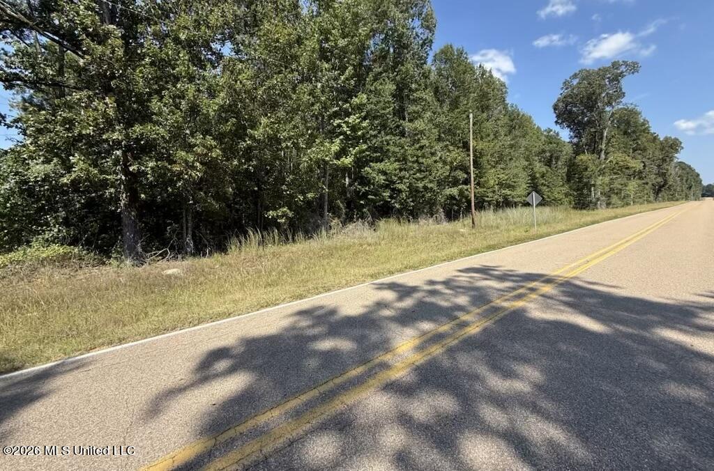 Jims Road Lena, MS 39094 - Photo 1 of 3 Jims Rd 1
