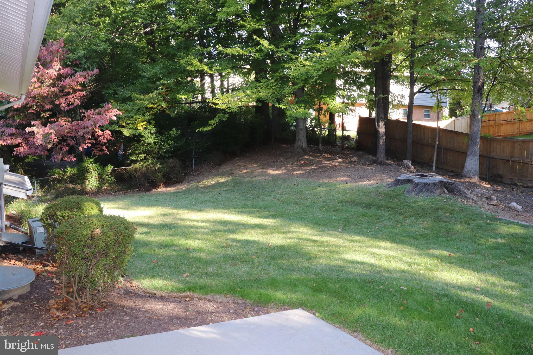 5527 Yorkshire Street Springfield, VA 22151 - Photo 36 of 40 Huge square backyard