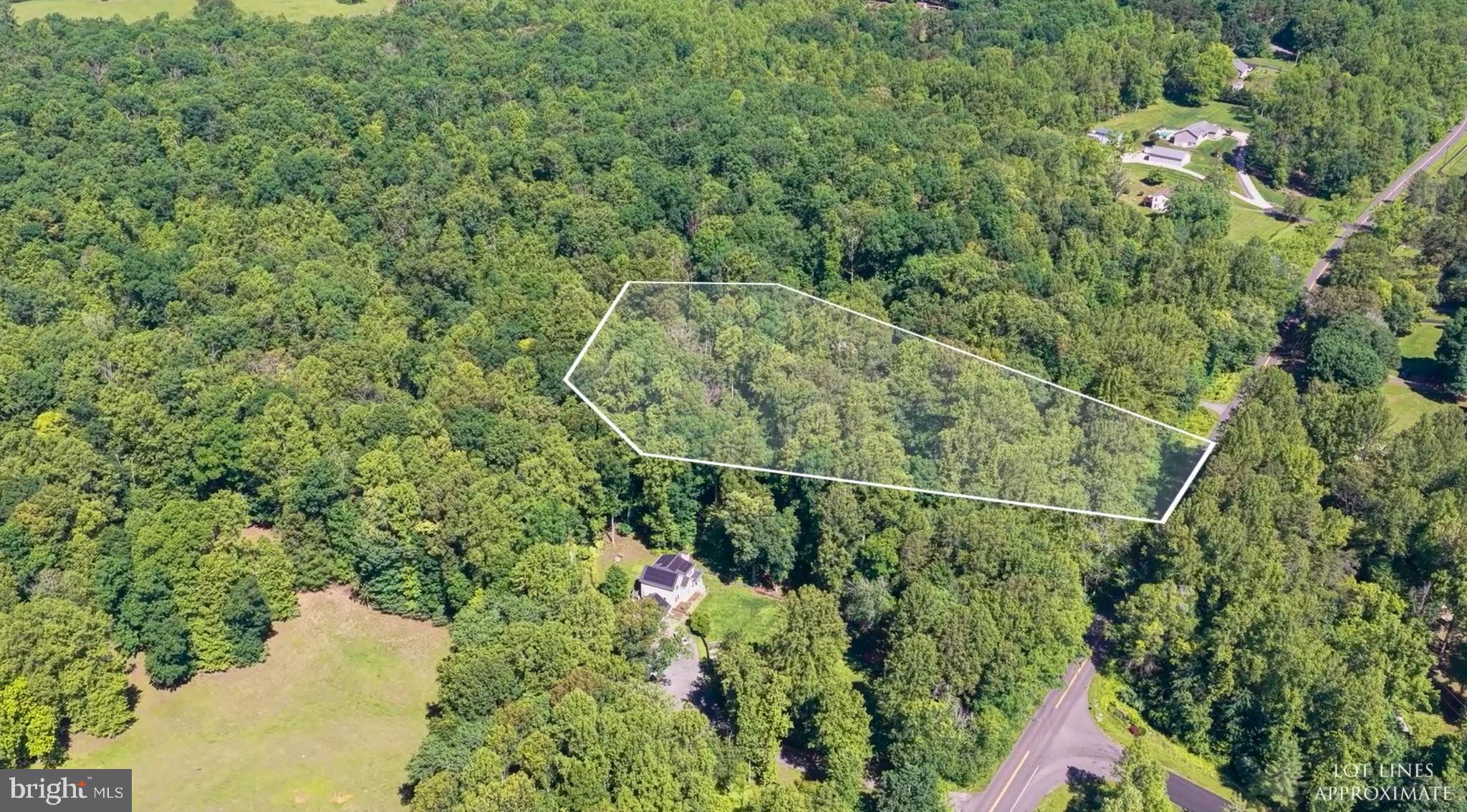 11408 Dutch Hollow Road Culpeper, VA 22701 - Photo 11 of 85 Property line