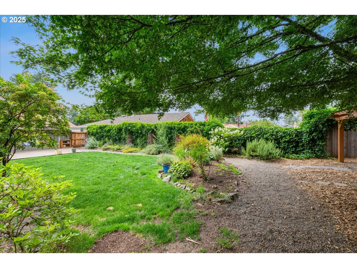 11805 Southwest Belvidere Place Portland, OR 97225 - Photo 30 of 44 a view of backyard with green space