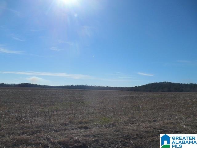 0 Curry Station Road, Unit 1 Munford, AL 36268 - Photo 6 of 14