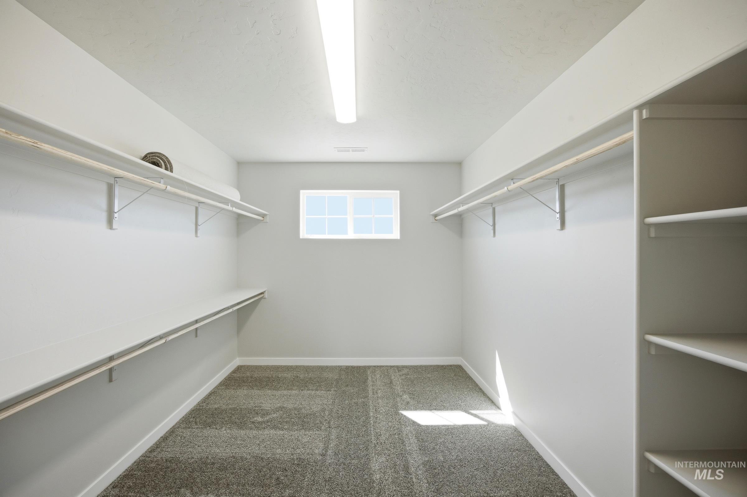 13333 Bank Street Caldwell, ID 83607 - Photo 22 of 29 Walk-in closet with carpeted flooring, built-in shelving, and a window for natural light