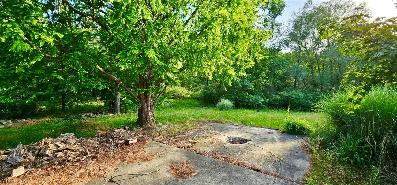 12590 Rockhaven Road Chesterland, OH 44026 - Photo 6 of 25 Mature tree providing natural shade over a concrete pad, surrounded by extensive green foliage and natural landscaping