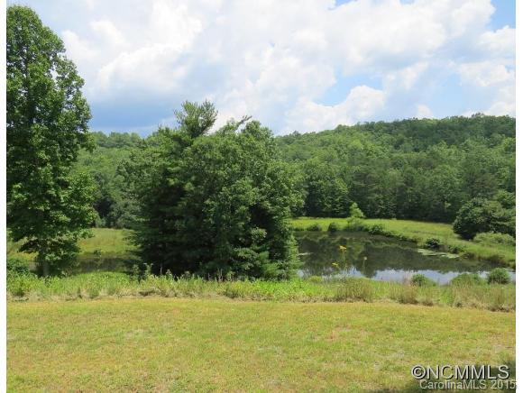 209 Lake Road Brevard, NC 28712 - Photo 3 of 7 Gallery Image 3
