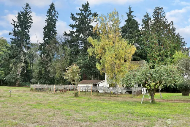 a view of a park with large trees