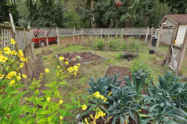 a view of a backyard