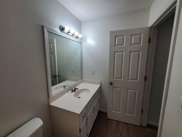 a bathroom with a sink a toilet and mirror