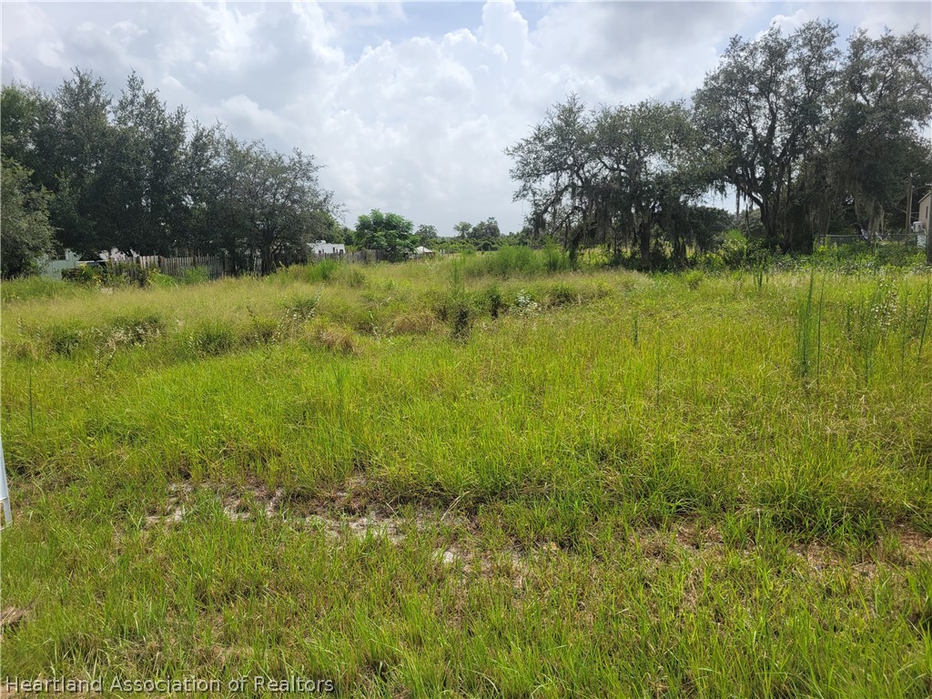 1430 Old Stokes Road Frostproof, FL 33843 - Photo 2 of 3 a view of a garden with an trees