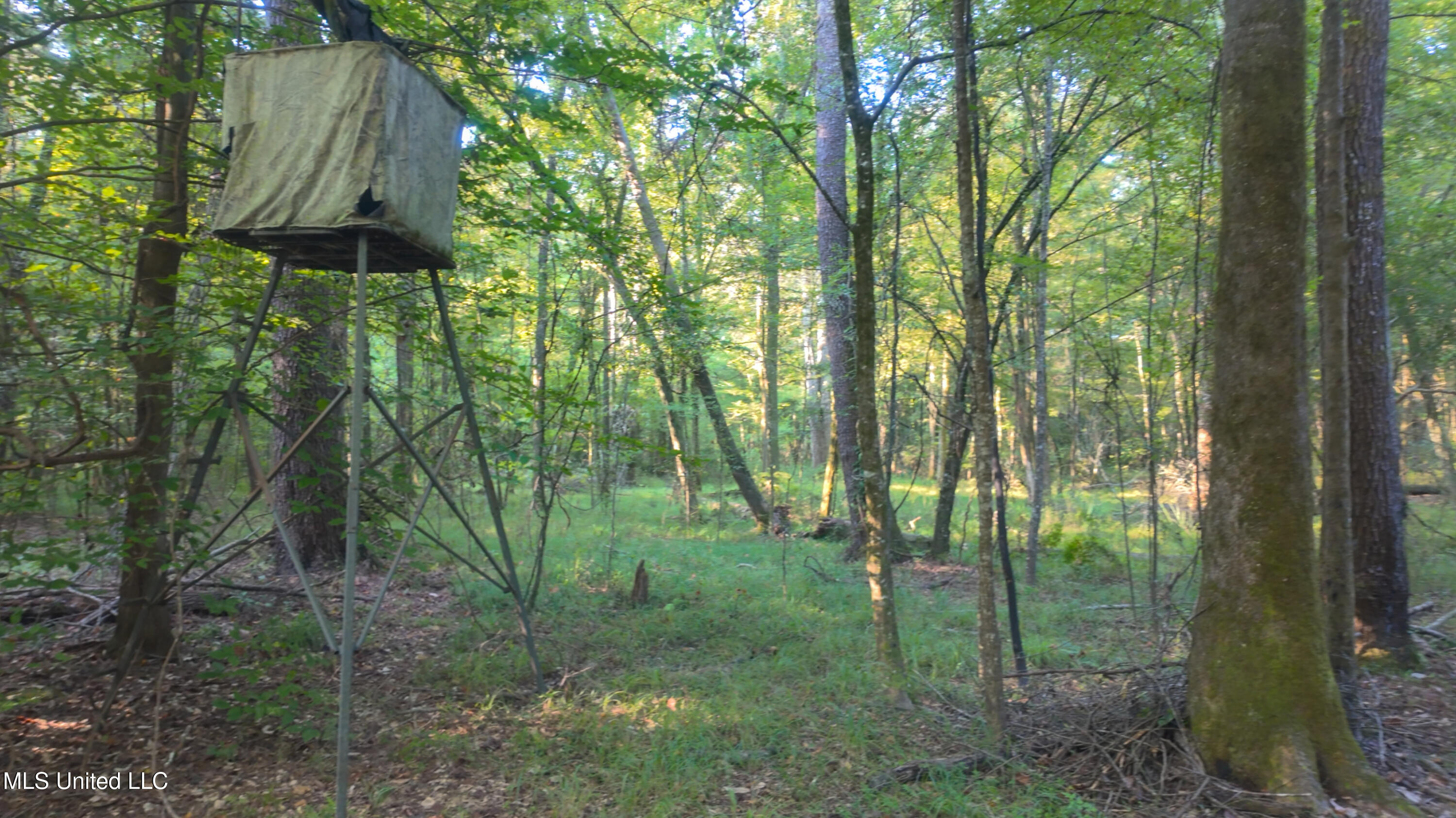 North Greensburg Road Smithdale, MS 39664 - Photo 2 of 10 DJI1