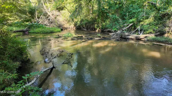 $170,000 | North Greensburg Road, Smithdale, MS 39664