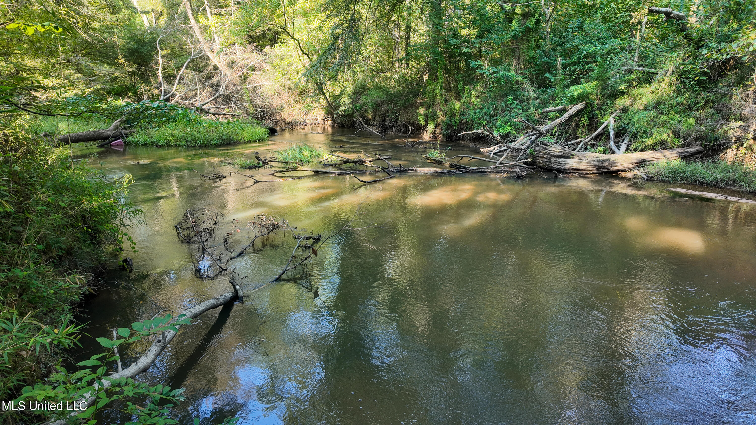 North Greensburg Road Smithdale, MS 39664 - Photo 4 of 10 DJI_20250905092253_0380_D
