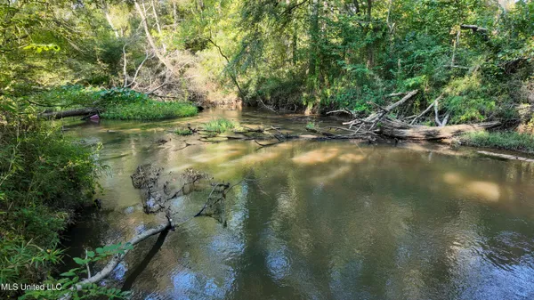 $170,000 | North Greensburg Road, Smithdale, MS 39664