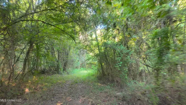 $170,000 | North Greensburg Road, Smithdale, MS 39664