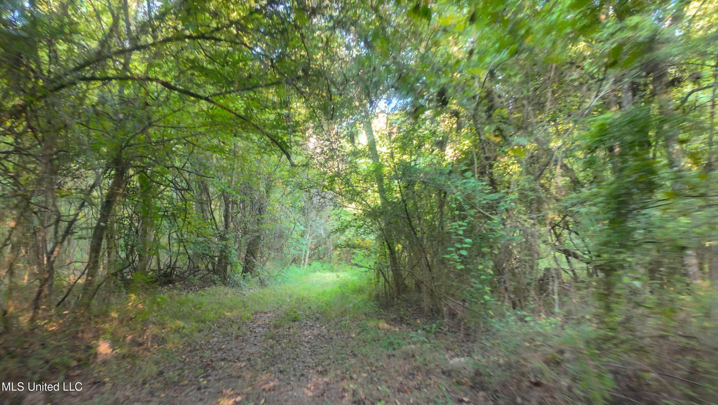 North Greensburg Road Smithdale, MS 39664 - Photo 7 of 10 DJI4