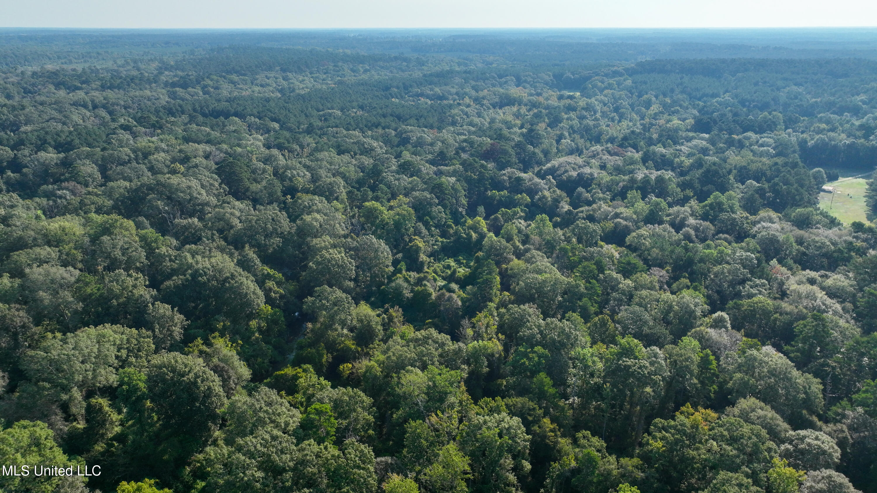 North Greensburg Road Smithdale, MS 39664 - Photo 9 of 10 DJI_0850