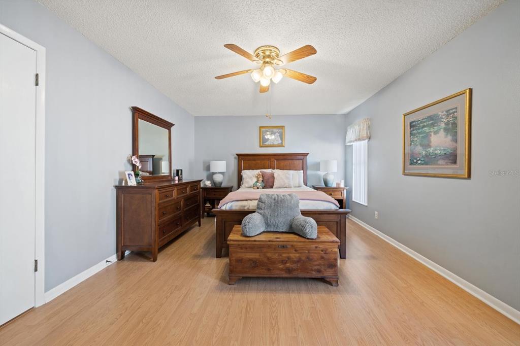 2545 Colony Drive Dunedin, FL 34698 - Photo 20 of 33