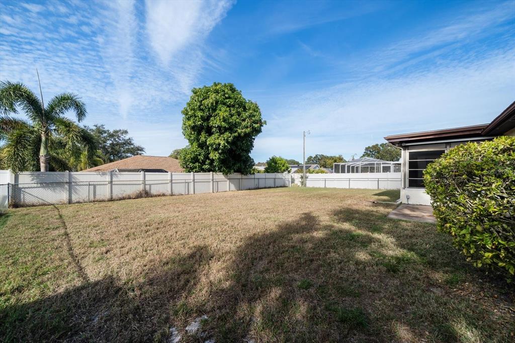 2545 Colony Drive Dunedin, FL 34698 - Photo 29 of 33