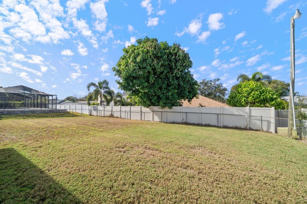 2545 Colony Drive Dunedin, FL 34698 - Photo 32 of 33